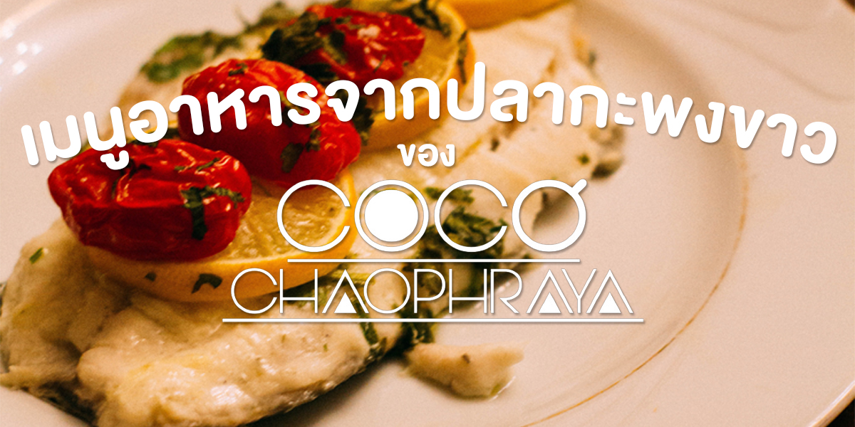 เมนูอาหารจาก ปลากะพงขาว ของ โคโค่เจ้าพระยา ( Coco Chaopraya )