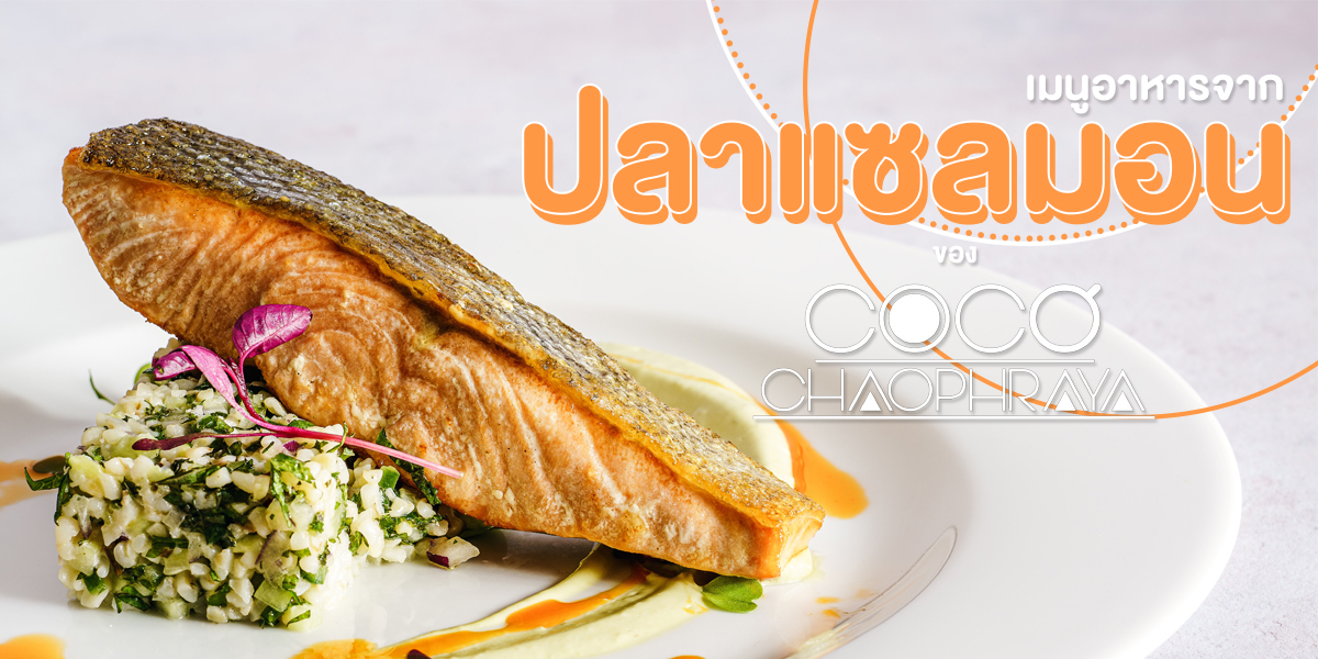 เมนูอาหารจาก ปลาแซลมอน ( Salmon ) ของ โคโค่ เจ้าพระยา ( Coco Chaopraya )