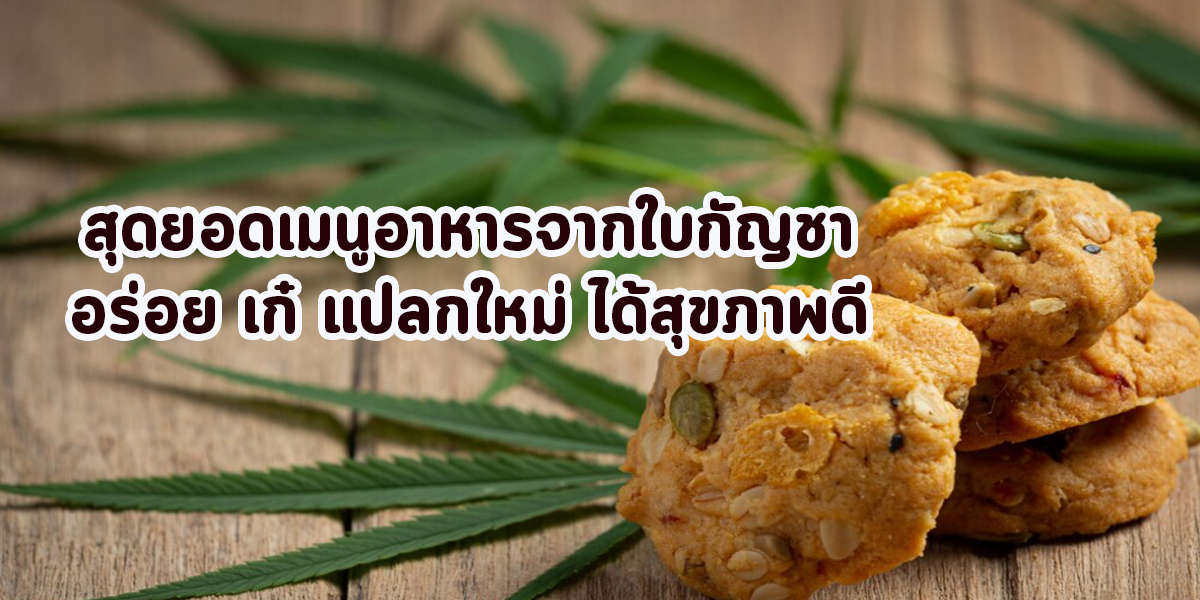 สุดยอดเมนูอาหารจากใบกัญชา อร่อย เก๋ แปลกใหม่ ได้สุขภาพดี