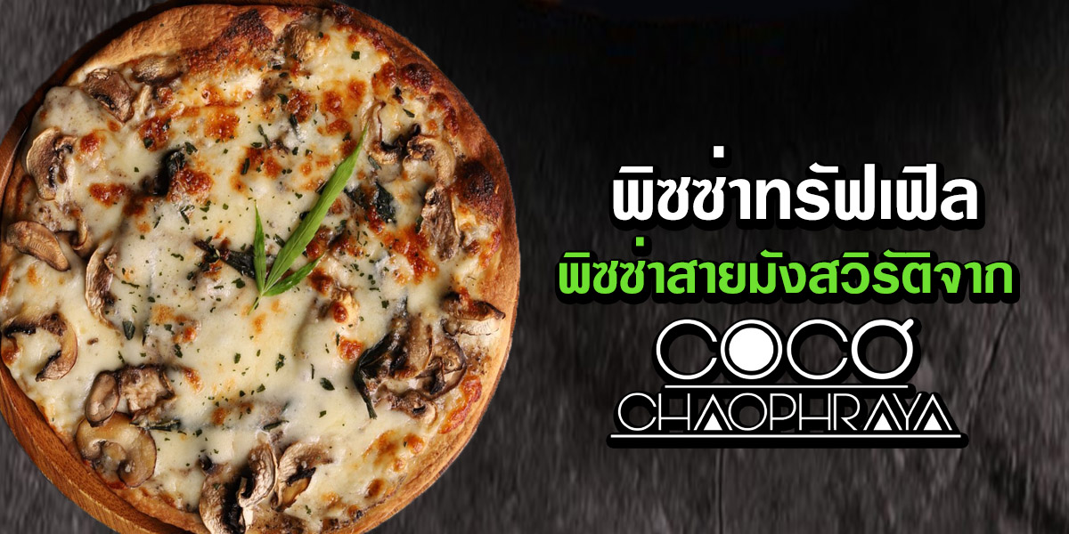 พิซซ่าทรัฟเฟิล พิซซ่าสาย มังสวิรัติ จาก โคโค่ เจ้าพระยา ( CoCo Chaophraya )